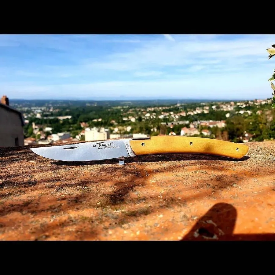 Apartment Dnn - Charming 1 Bedroom # Center Thiers # Free Parking, Wifi And Prime Video France